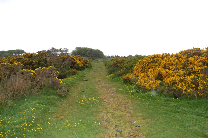 DSC_0035.JPG