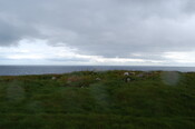 DSC_0043.JPG
