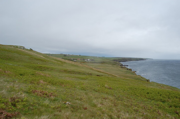DSC_0061.JPG