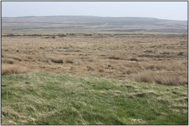 Photo10.jpg