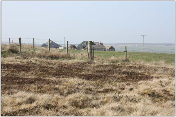 Photo7.jpg