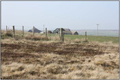 Photo7.jpg