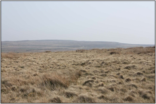 Photo8.jpg