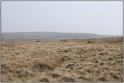 Photo8.jpg