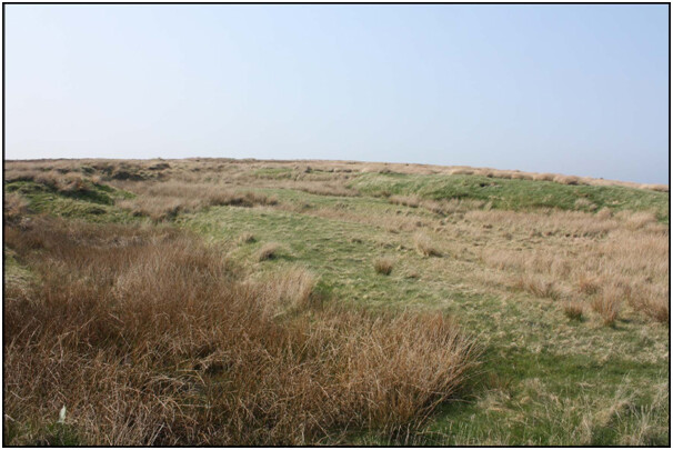 Photo9.jpg