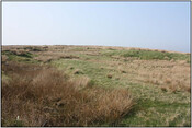 Photo9.jpg