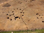 Roundhouse 1 cutting palisade (Structure 4).JPG