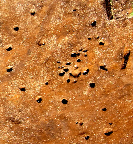 Roundhouse Structure 9.JPG