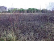 CT-A6 Boghead farm site of curling pond 2.JPG