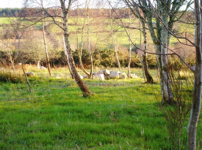 mhg14363 Laikenbuie cairnfield 2010.JPG