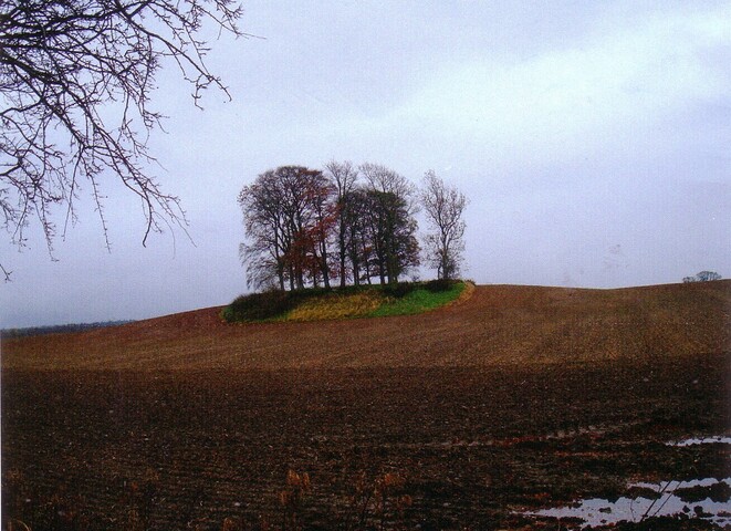 mhg44906 Tree Knoll, Kinsteary - 2010.JPG