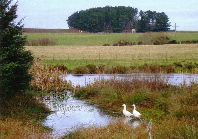 mhg7048 Gallows Hill - 2010.JPG