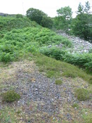 MHG7711 Red Smiddy slag heap.jpg