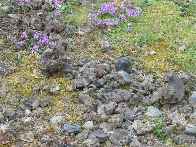 MHG7721 Red Smiddy slag heap detail.jpg