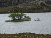 MHG7729 Loch Tollaidh crannog.jpg