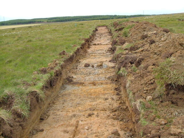 Area X 130.JPG