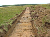 Area X 130.JPG