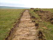 baillie Hill 15 121.JPG