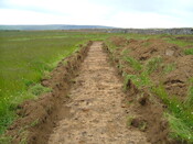 baillie hill 19 125.JPG