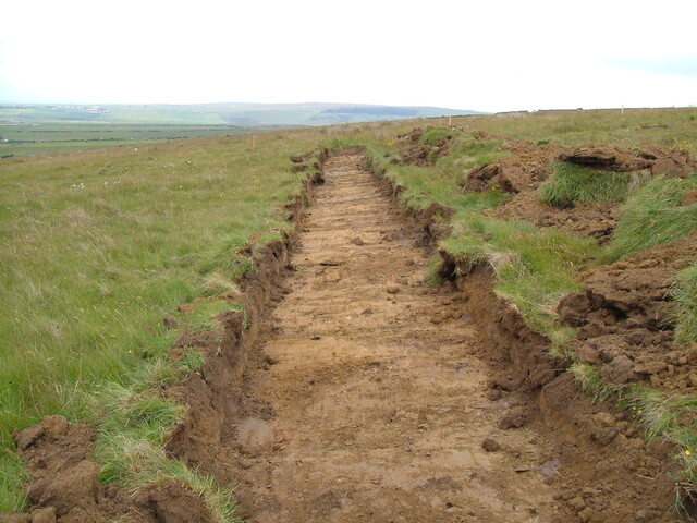 Baillie Hill 9 115.JPG