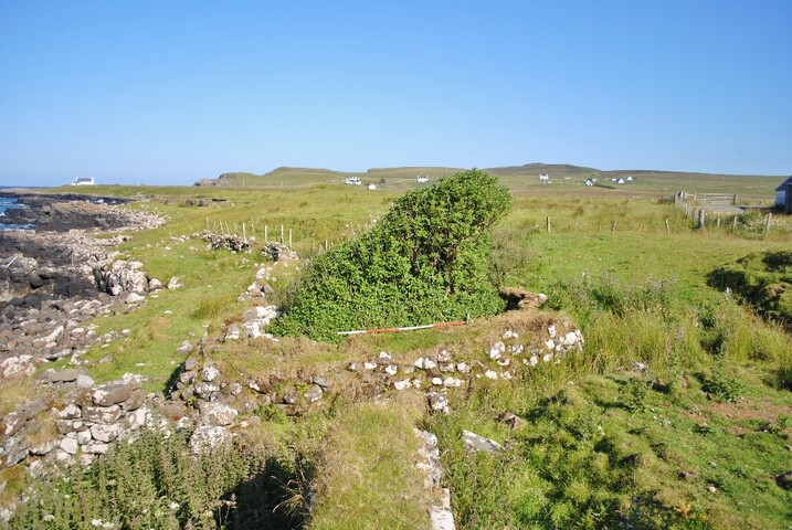 55.jpg