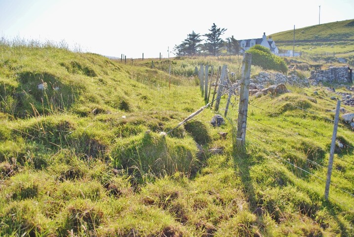63.jpg