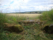 Kilcoy South to SE 2.jpg