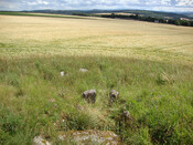 Kilcoy South to SE.jpg