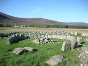 Delfour Centre NW.jpg