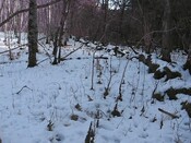 Clach a Choluman and the Black Rock Gorge Mar 1_4398924069_o.jpg