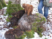 Clach a Choluman and the Black Rock Gorge Mar 5th_4411095669_o.jpg