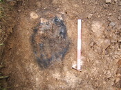 Click on the thumbnail to see a larger version KWB 03.JPG