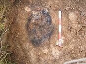 Click on the thumbnail to see a larger version KWB 04.JPG