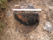 Click on the thumbnail to see a larger version KWB 07.JPG