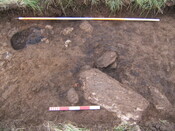 Click on the thumbnail to see a larger version KWB 11.JPG