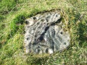 Ardoch stone 033.JPG