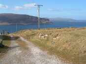 DSCF0003.JPG