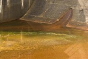 SpeyDam-7.jpg