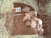 DSCF0015.JPG