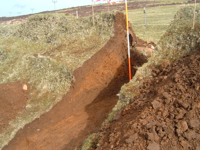 DSCF0029.JPG