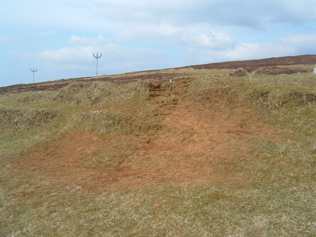 DSCF0035.JPG