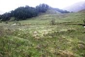 Slatach-180511-44.JPG