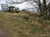 RAF Navidale WWII CHL and CHEL Radar Station - Concrete_6121597655_o.jpg