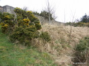 RAF Navidale WWII CHL and CHEL Radar Station - Site_6121550459_o.jpg
