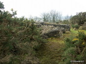RAF Navidale WWII CHL and CHEL Radar Station - Site_6122079154_o.jpg
