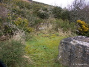 RAF Navidale WWII CHL and CHEL Radar Station - Site_6122081524_o.jpg