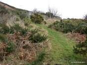 RAF Navidale WWII CHL and CHEL Radar Station - Site_6122095464_o.jpg