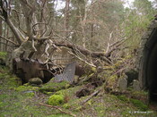 Emergency Ammunition Magazine near Beauly_6066210819_o.jpg