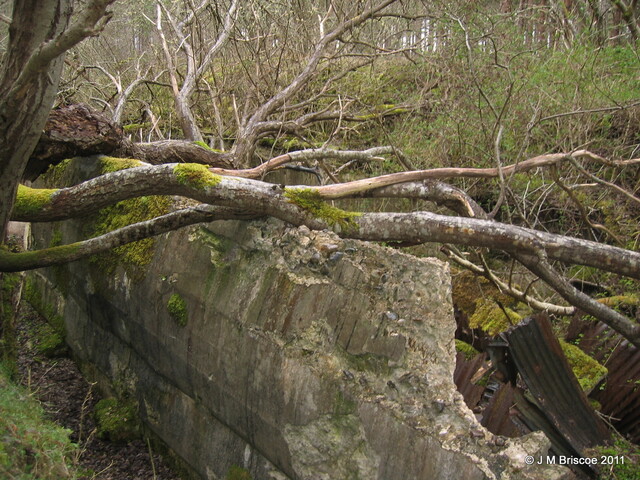 Emergency Ammunition Magazine near Beauly_6066212479_o.jpg
