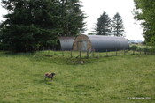WWII Nissen Huts, Fort Augustus_6178846051_o.jpg